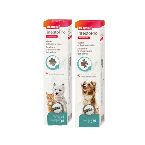 Beaphar IntestoPro Paste Katze/Hund bis zu 15 kg Unkategorisiert online kaufen Beaphar IntestoPro Paste Katze/Hund bis zu 15 kg Unkategorisiert online kaufen