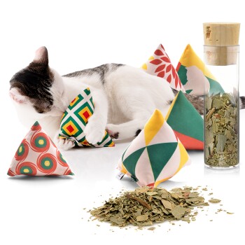 Canadian Cat Company Catnipspielzeug Catnip 6x Schmusepyramide Reggae Katzenspielzeug online kaufen