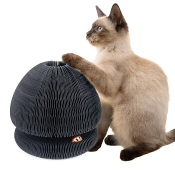 Canadian Cat Company Champi - Kratzpappe mit Spielbällen Unkategorisiert online kaufen Canadian Cat Company Champi - Kratzpappe mit Spielbällen Unkategorisiert online kaufen