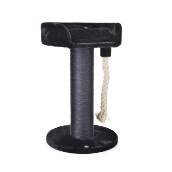 Canadian Cat Company Kratzbaum Lounge Ontario schwarz Kratzbäume, Türme, Tonnen, Säulen und Kugeln online kaufen Canadian Cat Company Kratzbaum Lounge Ontario schwarz Kratzbäume, Türme, Tonnen, Säulen und Kugeln online kaufen