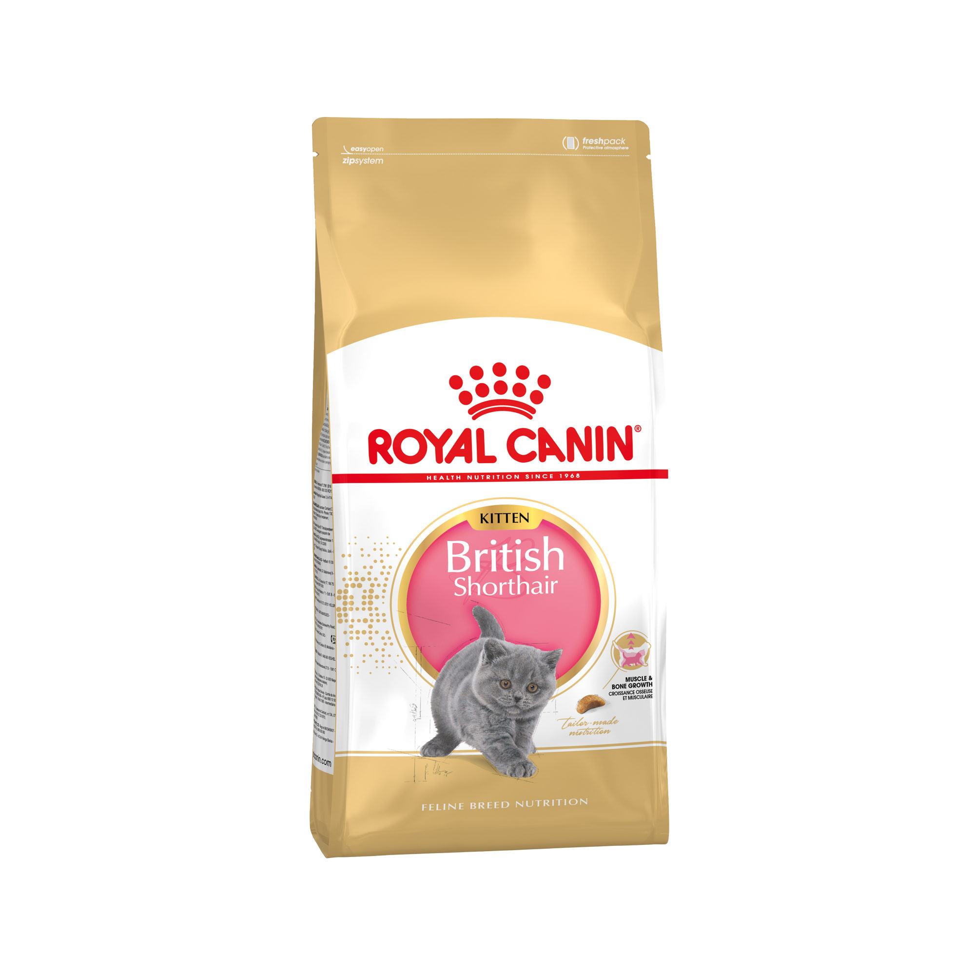 Royal Canin British Shorthair Kitten Katzenfutter - 10 kg Katzen-Trockenfutter online kaufen